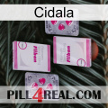 Cidala 33